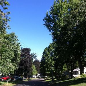 Nice Weather for Canton Before School Starts Up