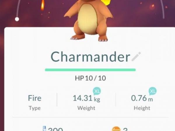 Fans Asked To Stop Chasing Pokemons In US Holocaust Museum