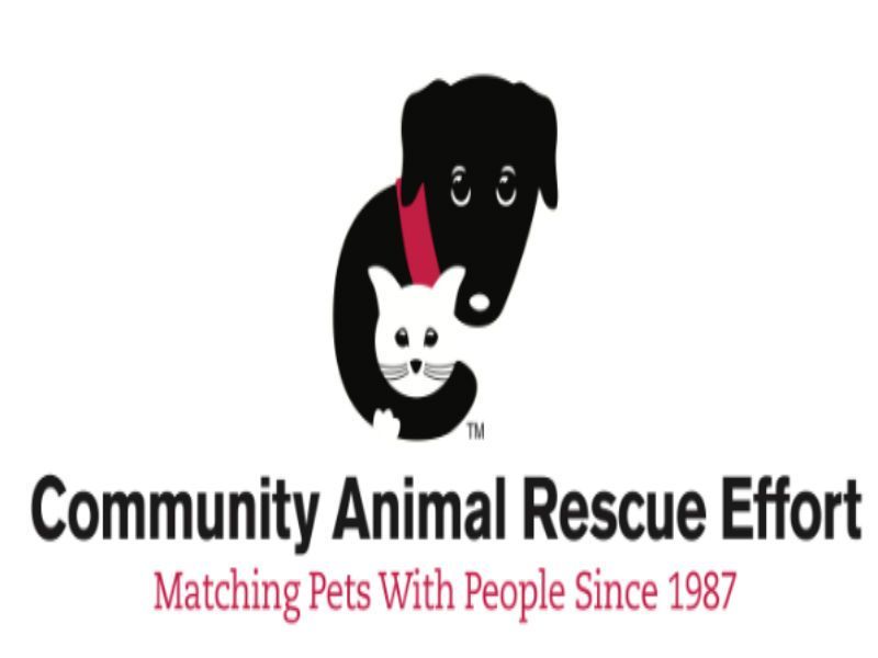 Dog Rescue Niles Il Dog Rescue Niles Il