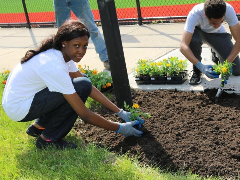 Newark Council Passes Law: Developers Must Inform City About 'Environmental Impacts' - Patch.com