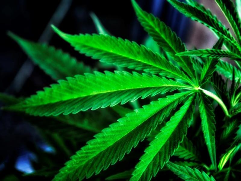 Cops Find 5 Pounds Of Marijuana In NJ Man's Car During Newark ... - Patch.com