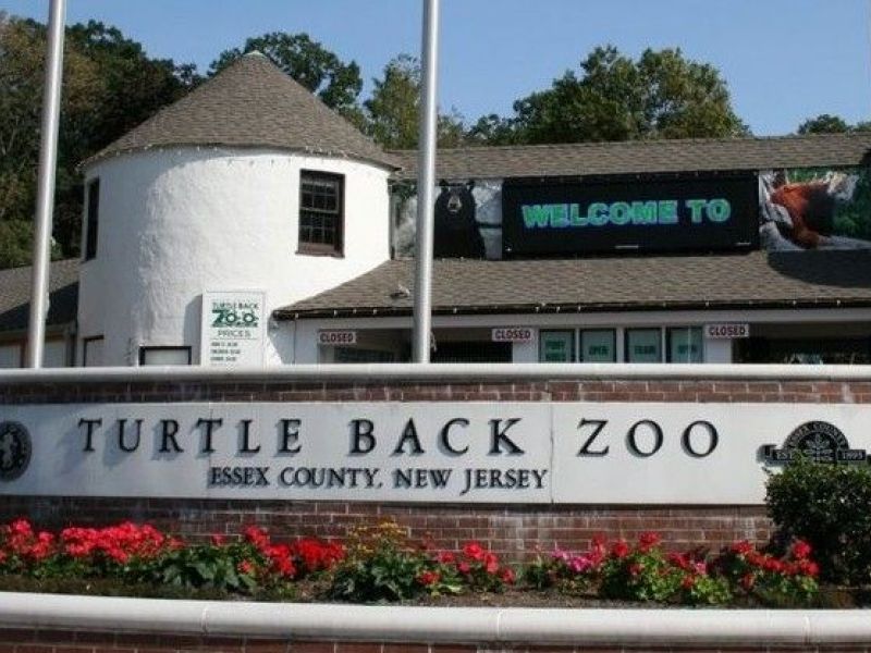 Turtle Back Zoo in N.J. Will Get 5.9M Facelift, New Exhibits