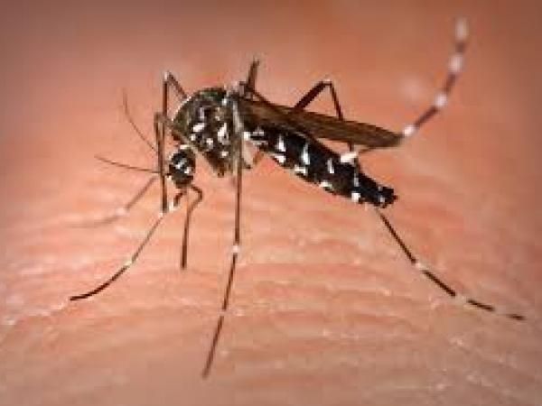 West Nile Virus Found in Mosquito Pools in Montgomery, Prince George's Counties West Nile Virus Found in Mosquito Pools in Montgomery, Prince George's Counties