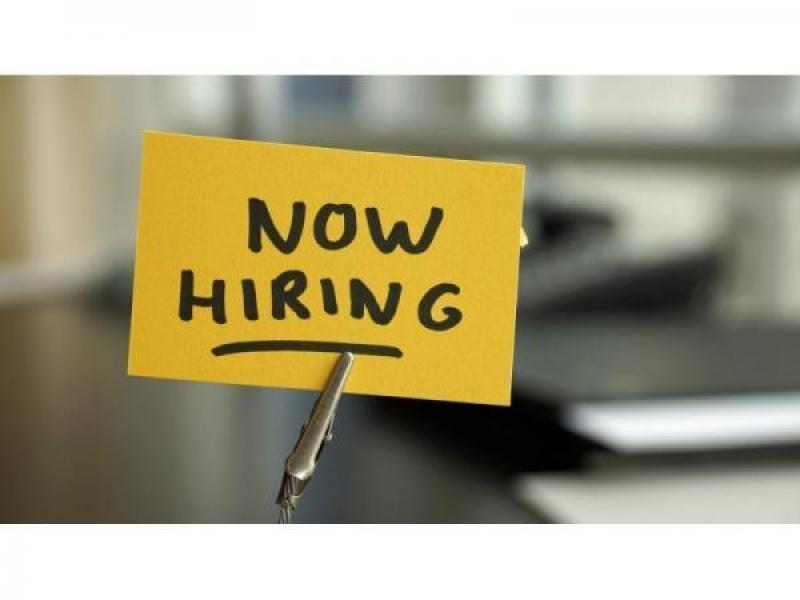 Newton Jobs: 20 Newest Listings - Patch.com