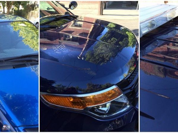 Face-licking, car-denting suspect arrested in Portland
