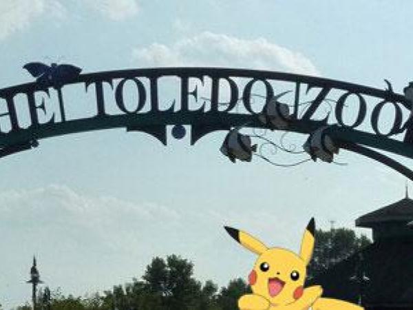 Ohio Couple Playing Pokemon Go Arrested Near Tiger Cage at Toledo Zoo