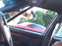 Video Shows Aftermath of Fatal Minnesota Police Shooting