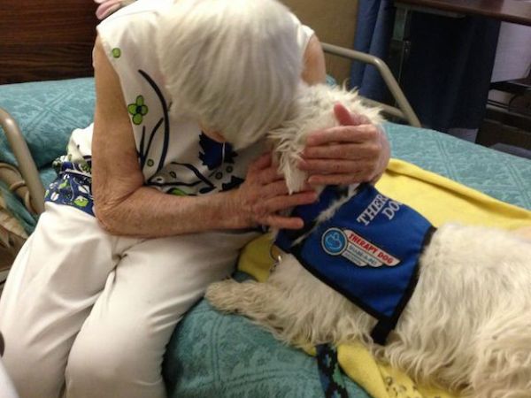 how to make my a therapy how to make my into a therapy foster city ca patch how to make my a therapy how to make my into a therapy foster city ca patch