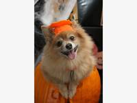 glow within the darkish golfing in blackpool