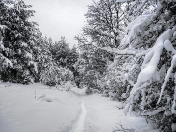 Farmer's Almanac predicts cold winter in Northeast Farmer's Almanac predicts cold winter in Northeast