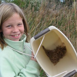 Volunteers Needed: Help Squash Invasive Species in Joliet Forests
