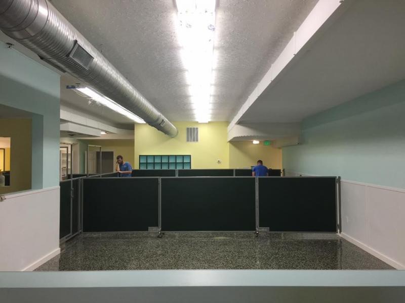to wag for opening on main street in bel air bel air md to wag for opening on main street in bel air bel air md