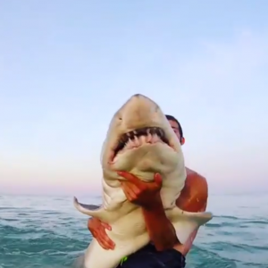 Fisherman Hugs Live Shark After Catching It (VIDEO)