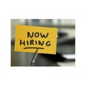 Check Out New York's Hottest Job Sectors on Port Chester Patch