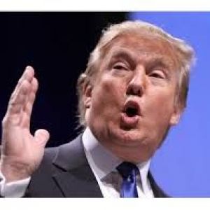 Donald Trumps Companies Are At Least $651 Million In Debt, A New York Times Investigation Finds