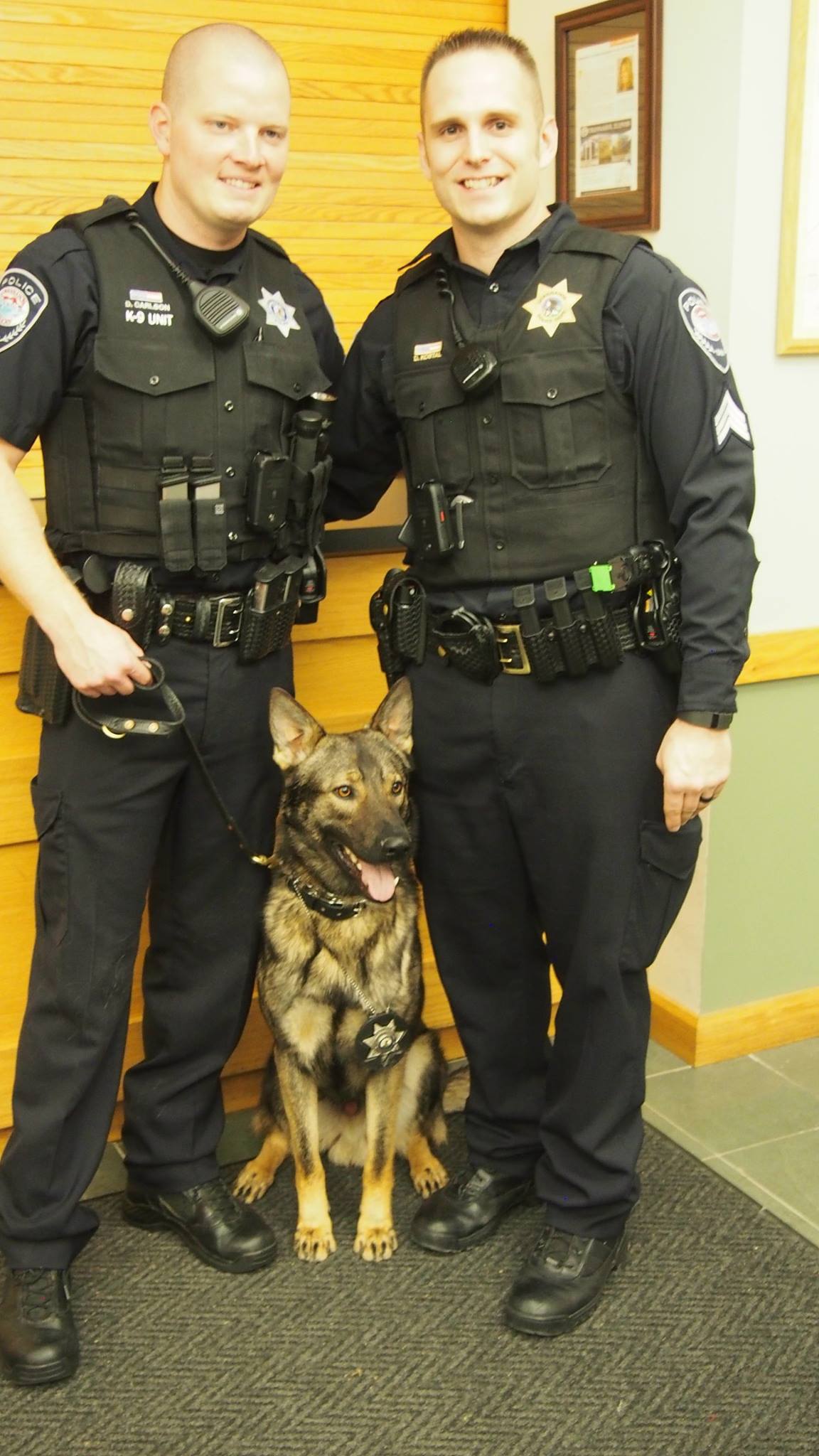 Photos Channahon Police Department Gets K9 Cop Channahon, IL Patch