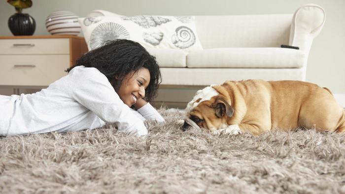 How To Remove Urine Stains And Odors From A Mattress