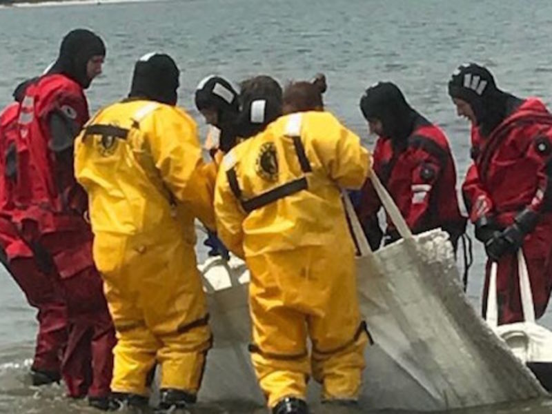 See Photos of Rescued Whale, Saved By Sea Of Heroes Westhampton, NY Patch