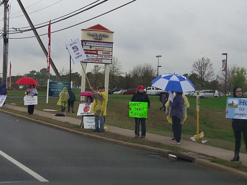 protest draws dozens to puppy store in brick toms river protest draws dozens to puppy store in brick toms river