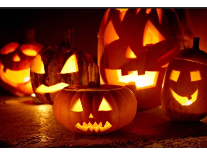 Pumpkin Patch Lansdale Pa