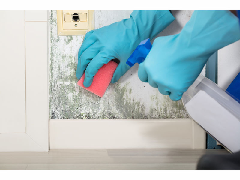 Mold In Bathroom Landlord Responsibility laws regarding mold and rental properties in new jersey - mold Mold In Bathroom Landlord Responsibility laws regarding mold and rental properties in new jersey - mold
