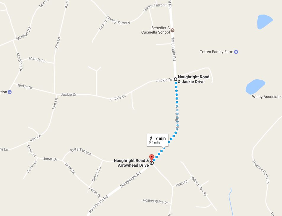 Car Crash Caused Forest Fire, Closed Long Valley Road Long Valley, NJ