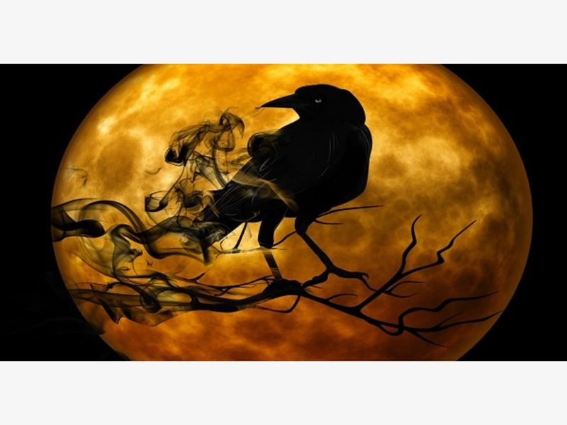 celebrate the 2017 halloween season at one of these must see haunted attractions - Indiana Halloween Attractions celebrate the 2017 halloween season at one of these must see haunted attractions - Indiana Halloween Attractions